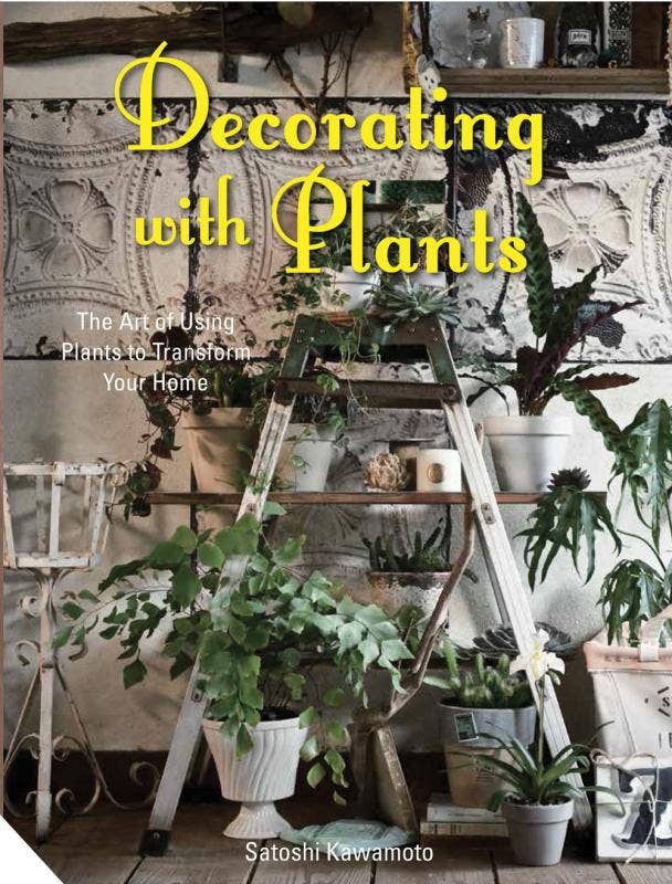 Decorating with Plants: Using Plants to Transform your Home